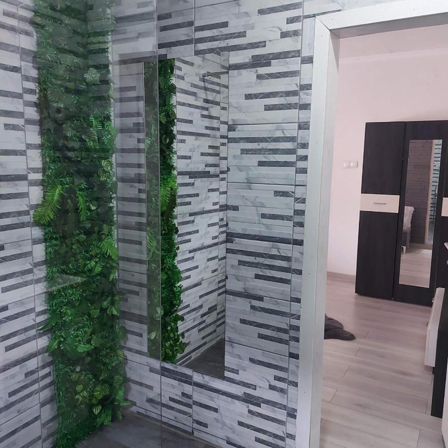Apartman U Centru Šid Esterno foto